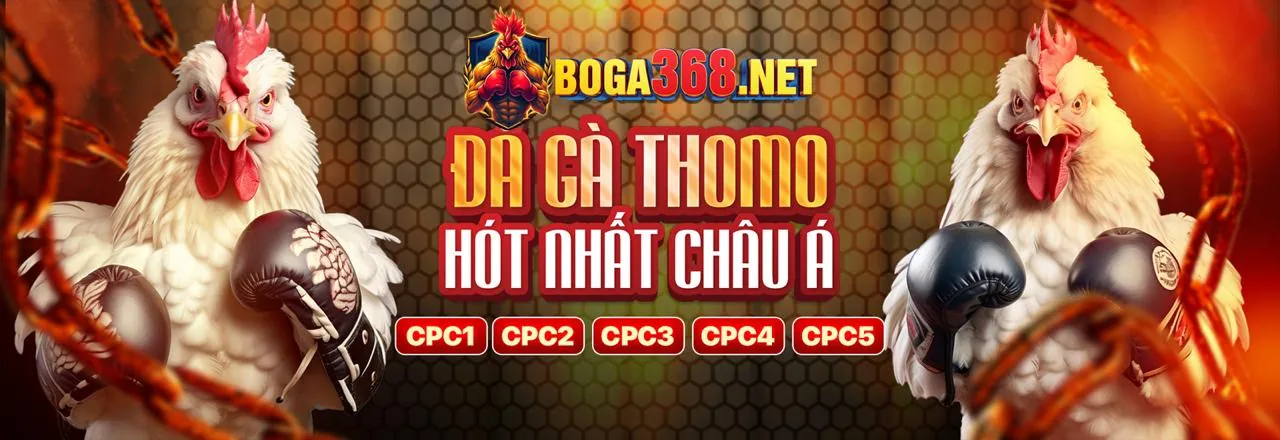 Tham gia siglebet link vào ngay